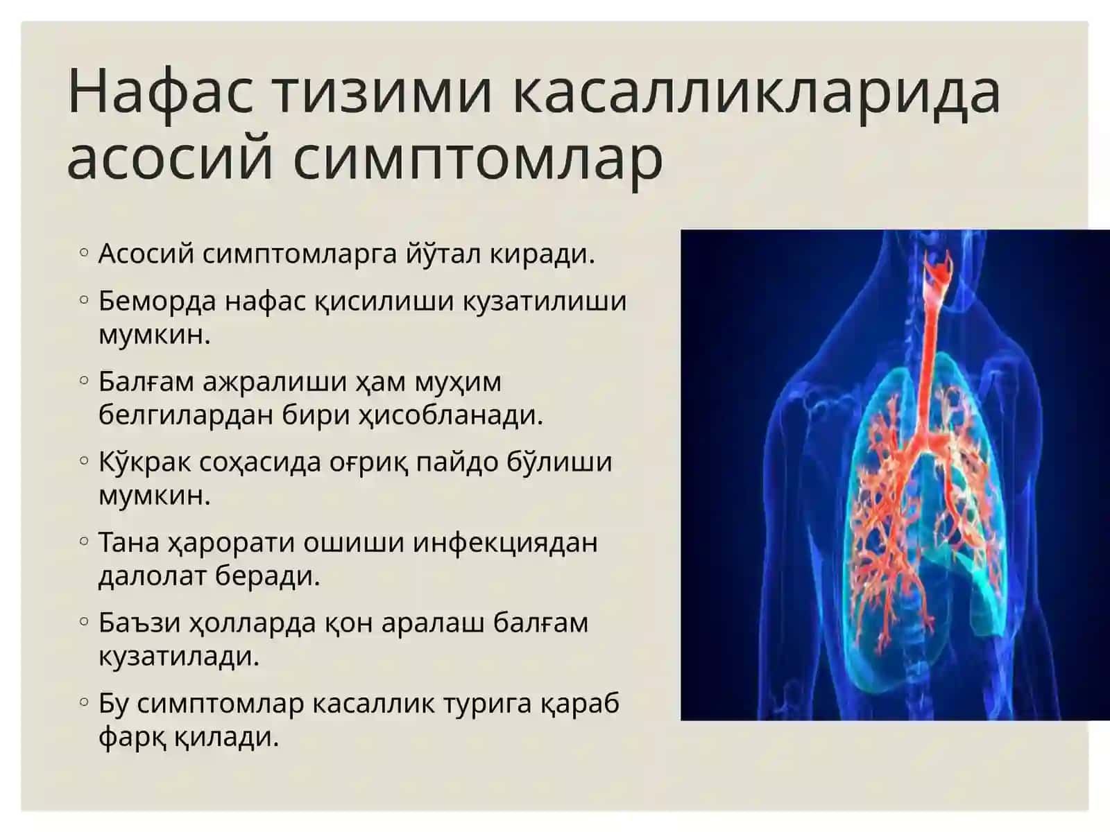 nafas tizimi 2