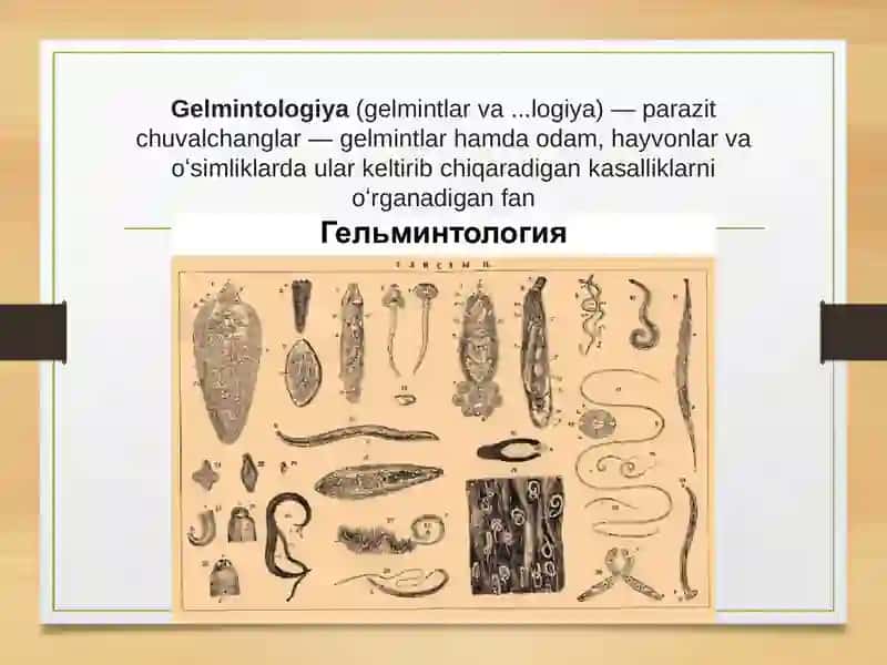 Gelmintologiya 2