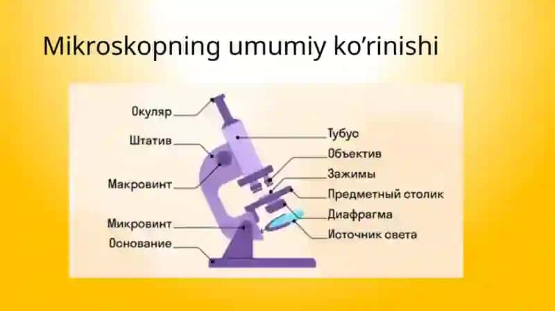 Mikroskopning tuzulishi 2