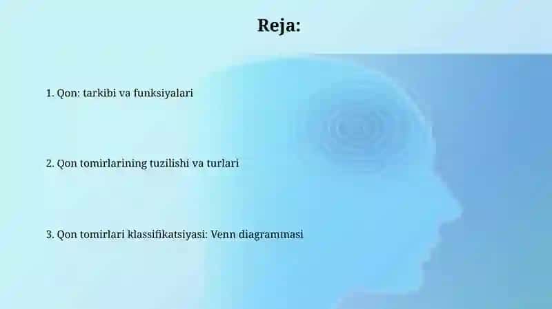 Qon tomirlarining tuzilishi va turlari 2