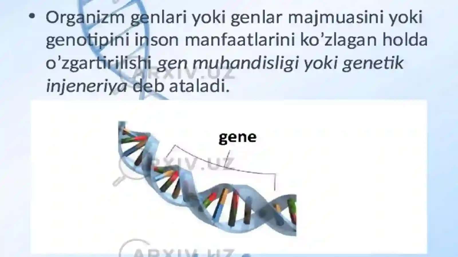 Genetik muhandislik 2