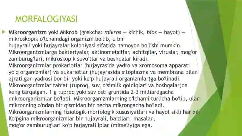 Mikroorganizmlar morfologiyasi.Murakkab boyash usullari 2