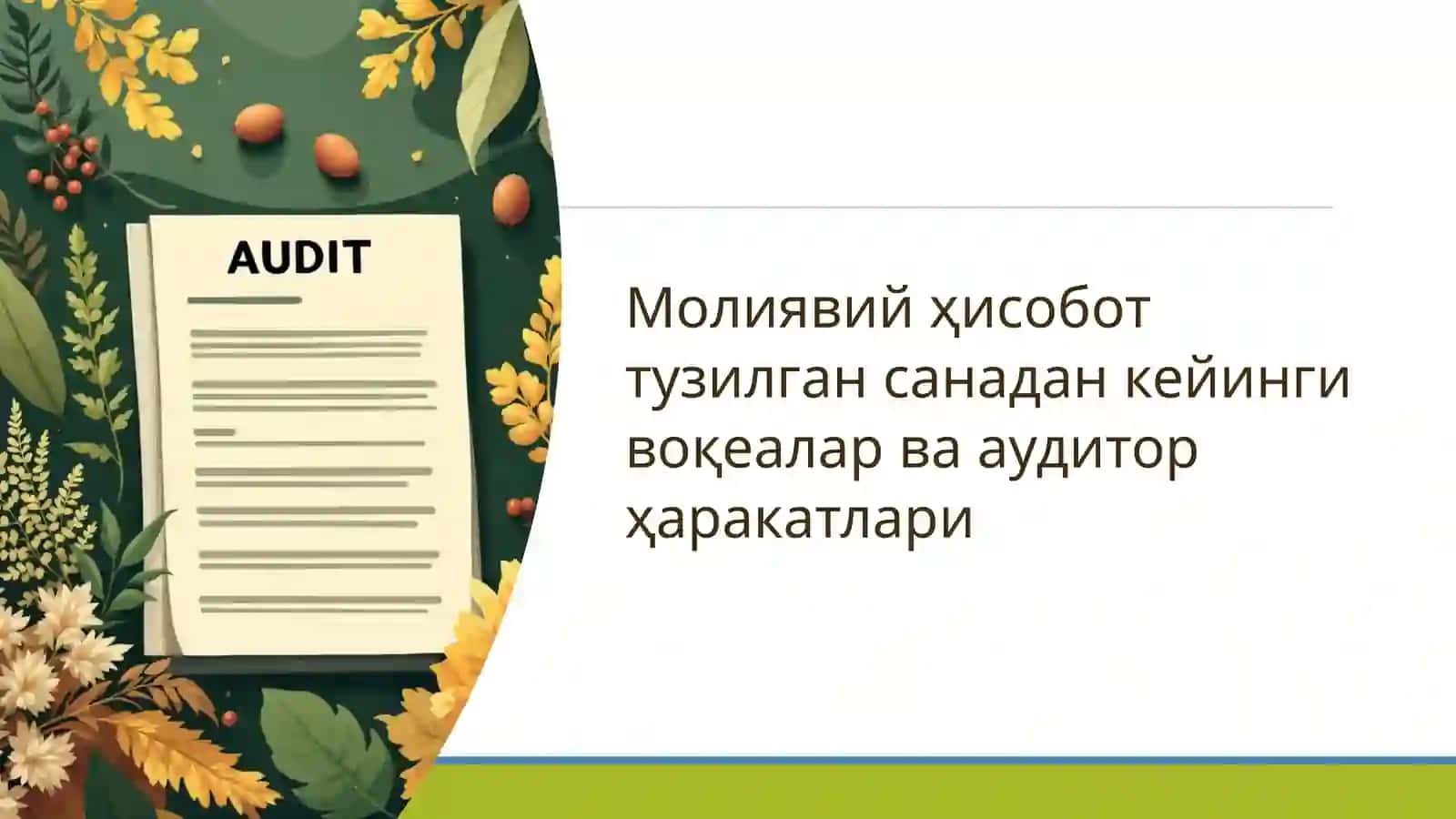 MOLIYAVIY HISOBOT AUDITI 2