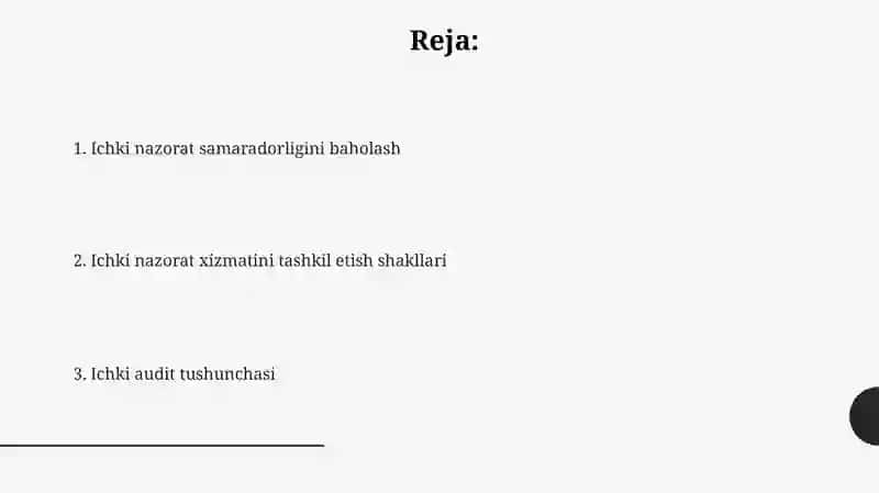 Ichki audit tushunchasi 2