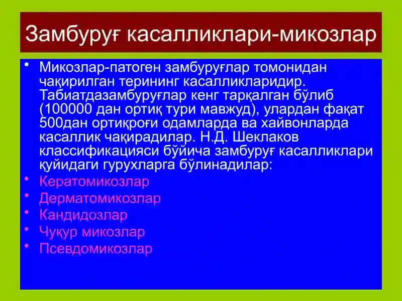 Замбуруғ касалликлари-микозлар 2