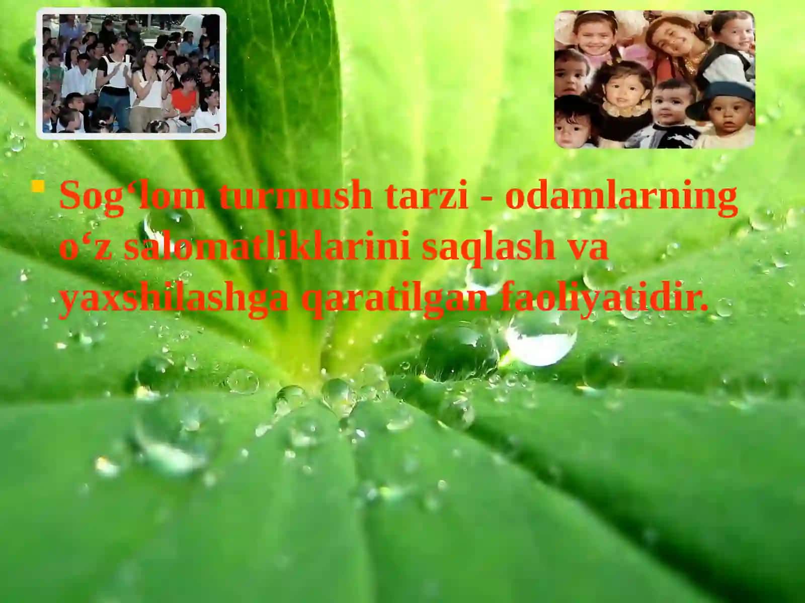 Sog‘lom turmush tarzi 2
