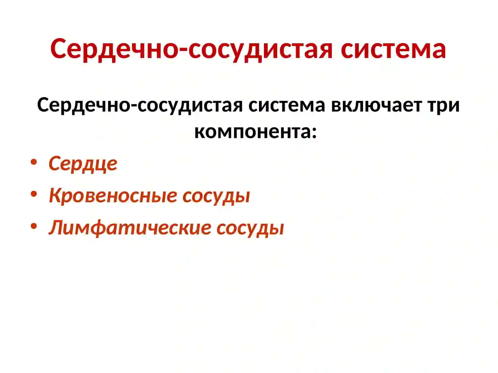 Сердечно-сосудистая система 2