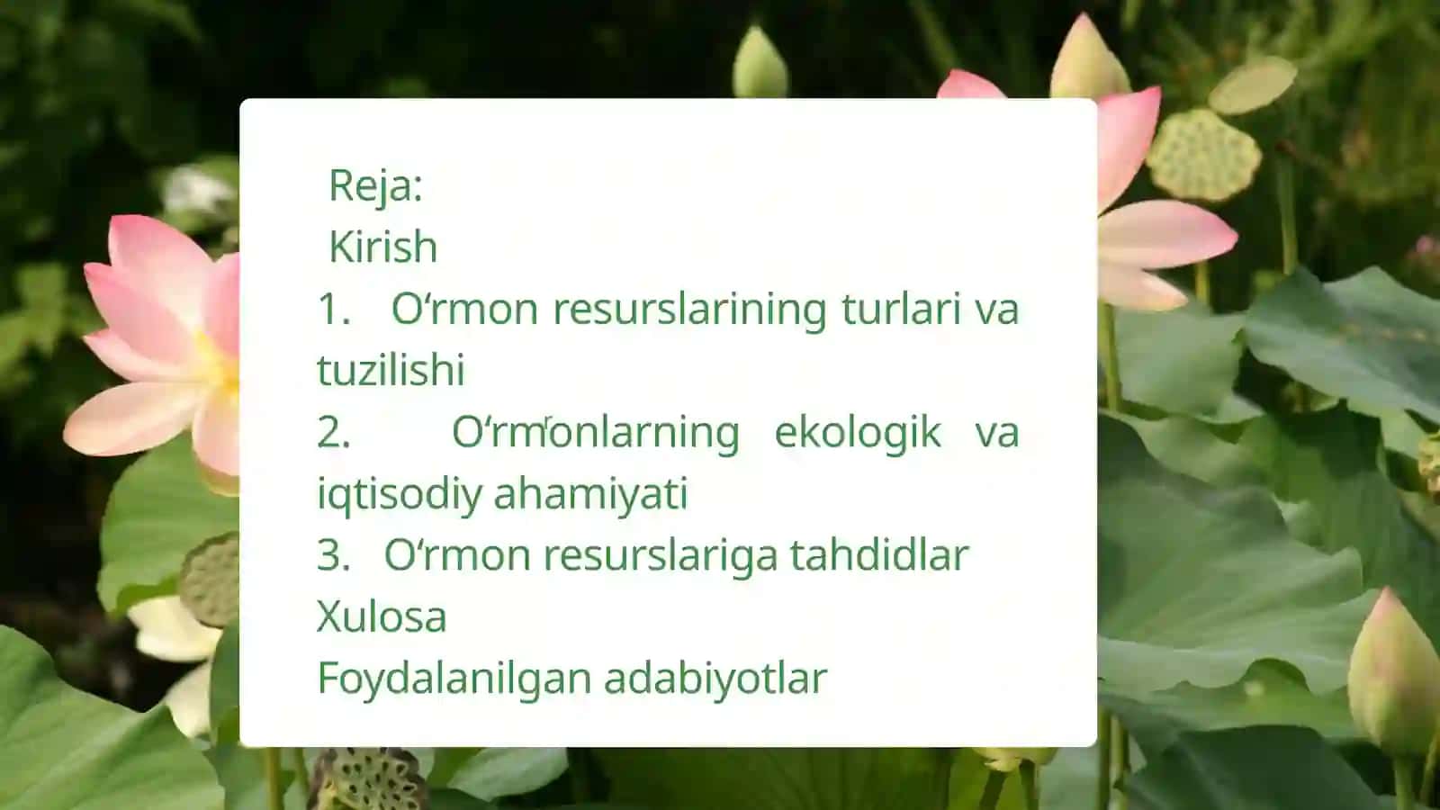O’rmon resurslari va ularni saqlash 2
