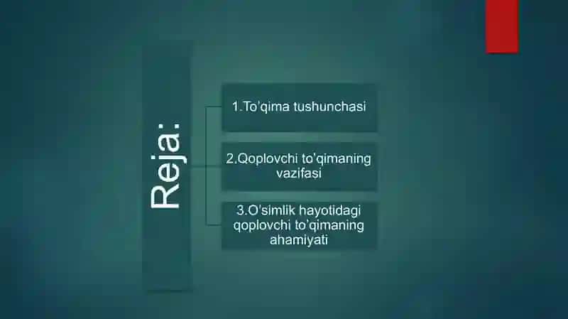 Qoplovchi toʻqima 2