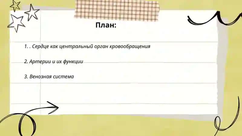 Состав системы кровообращения 2