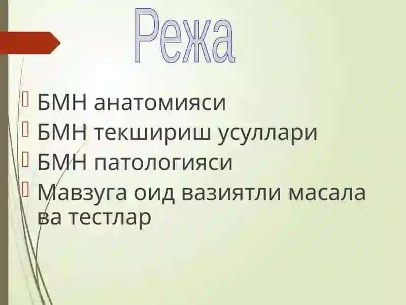 Бош мия нервлари 2