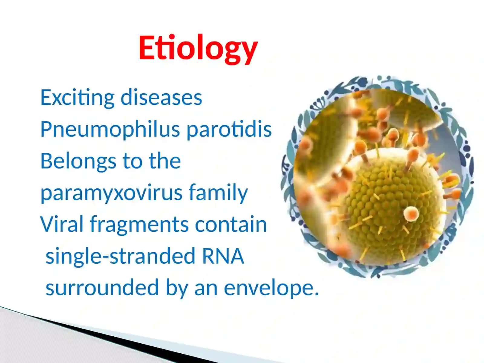 Mumps infection 2
