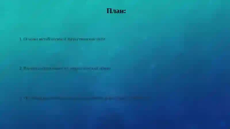 Презентация 2