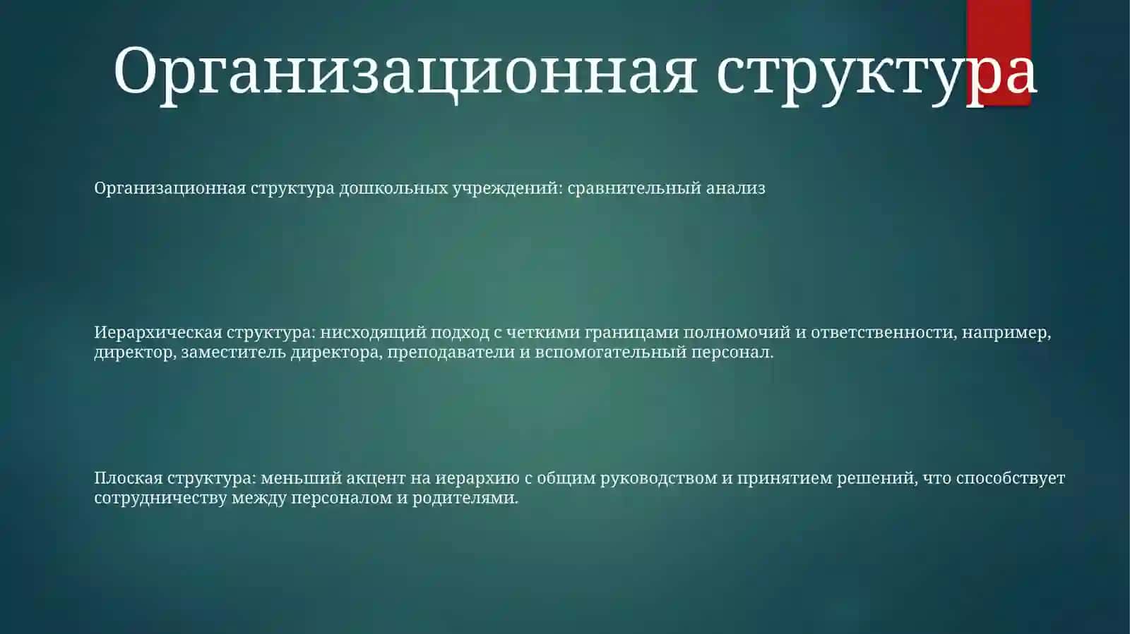 Организационная Структура 2