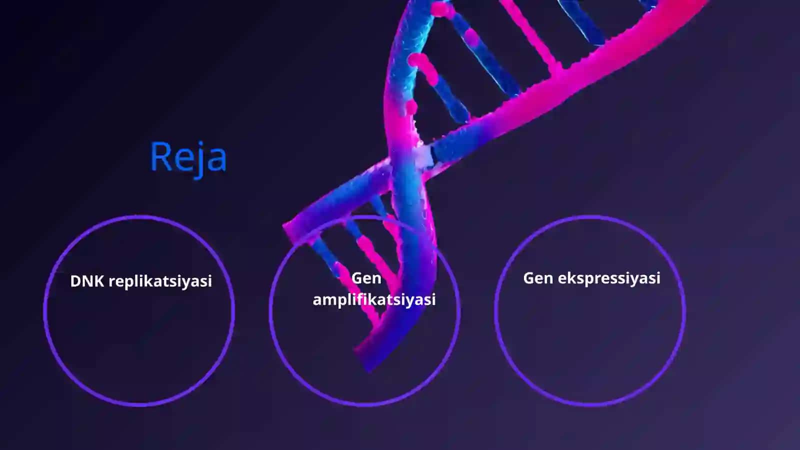 Gen amplifikatsiyasi va ekspressiyasi 2