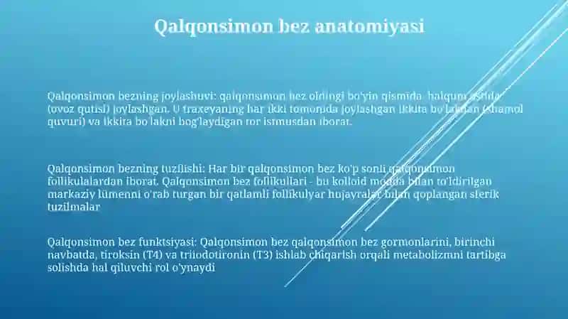 Qalqonsimon Bez 2