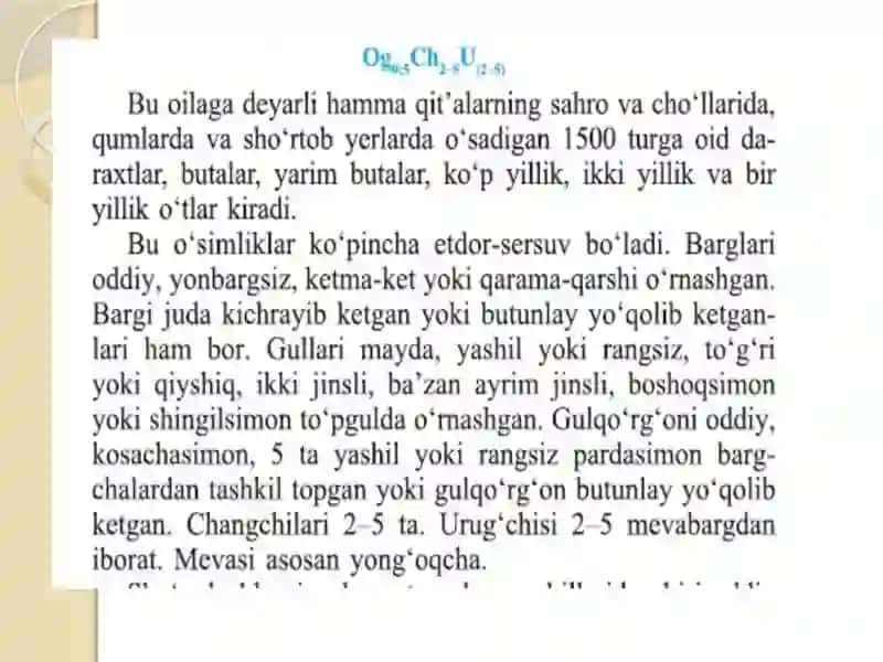 Sho`radoshlar oilasi 2