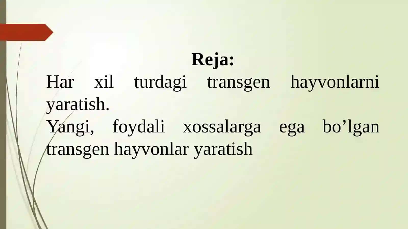 Transgen hayvonlar yaratish 2