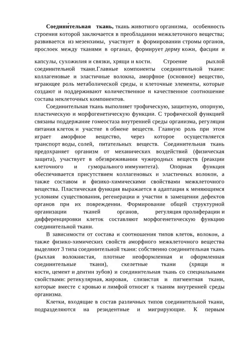 Соединительная ткань 2