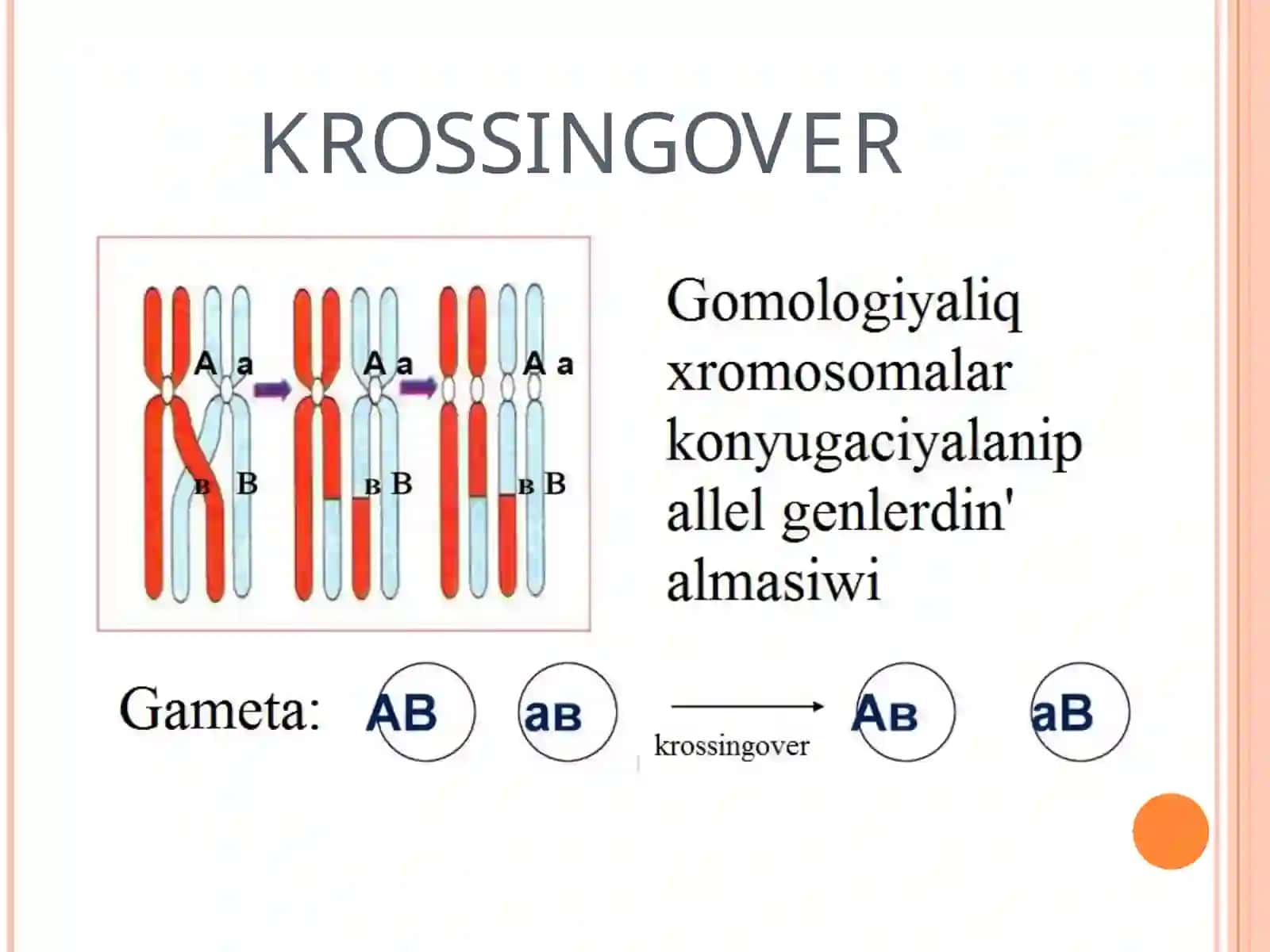 KROSSINGOVER 2