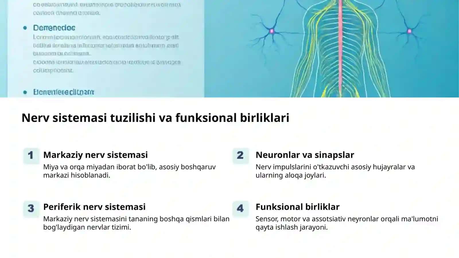 Oliy nerv faoliyati: asosiy tushunchalar 2