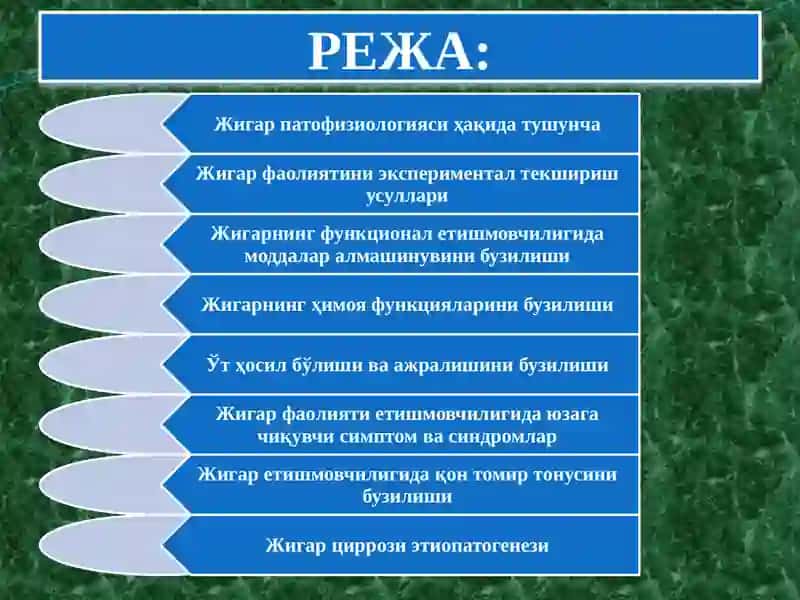 ЖИГАР ПАТОФИЗИОЛОГИЯСИ 2
