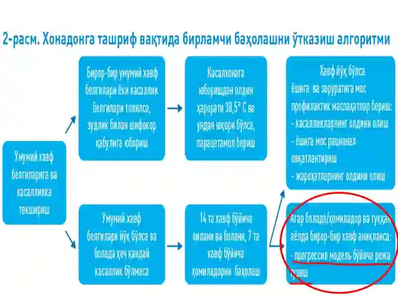 Патронаж ҳамширасини ишида хавфларни бошқариш. Кейс-менеджмент 2