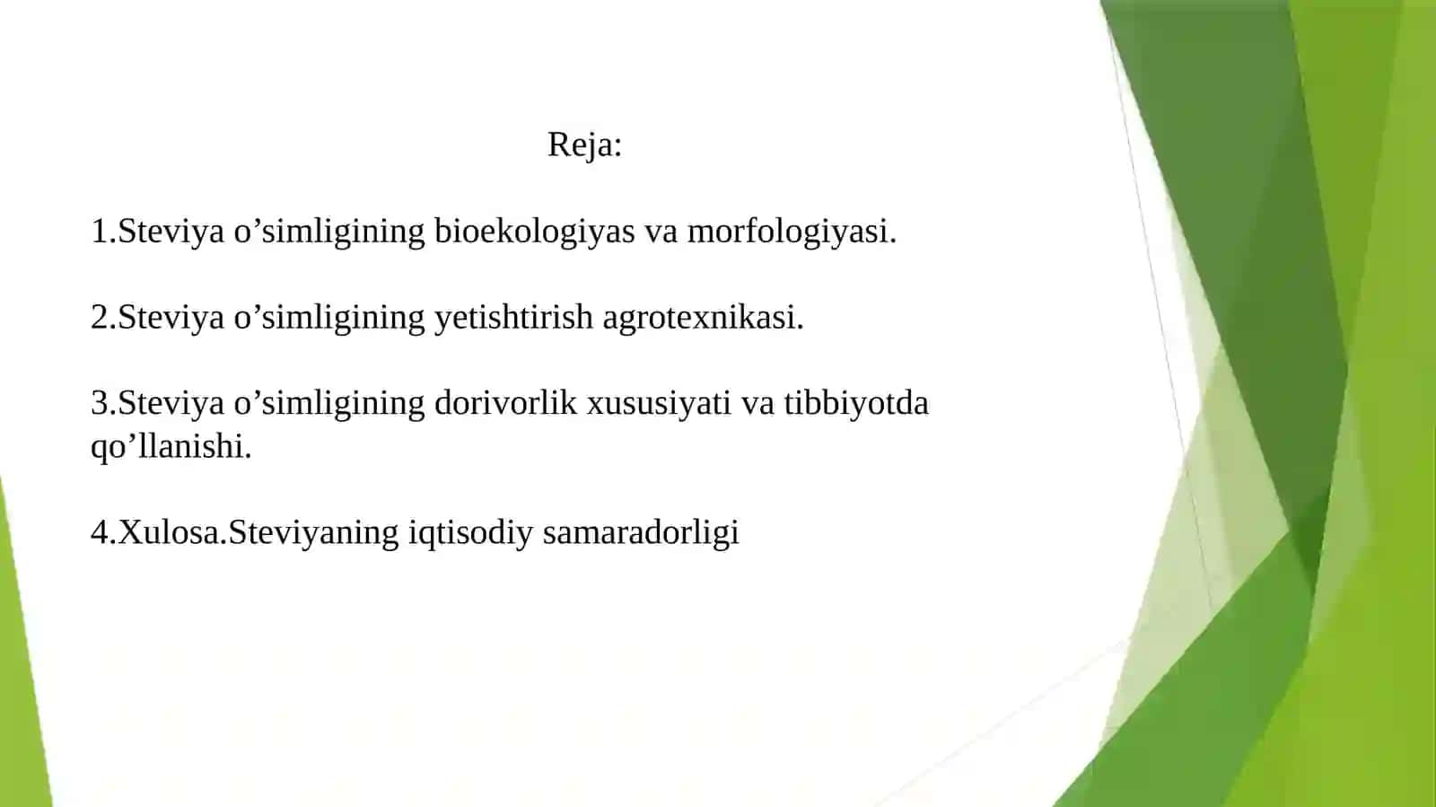 Steviya O'simligi 2