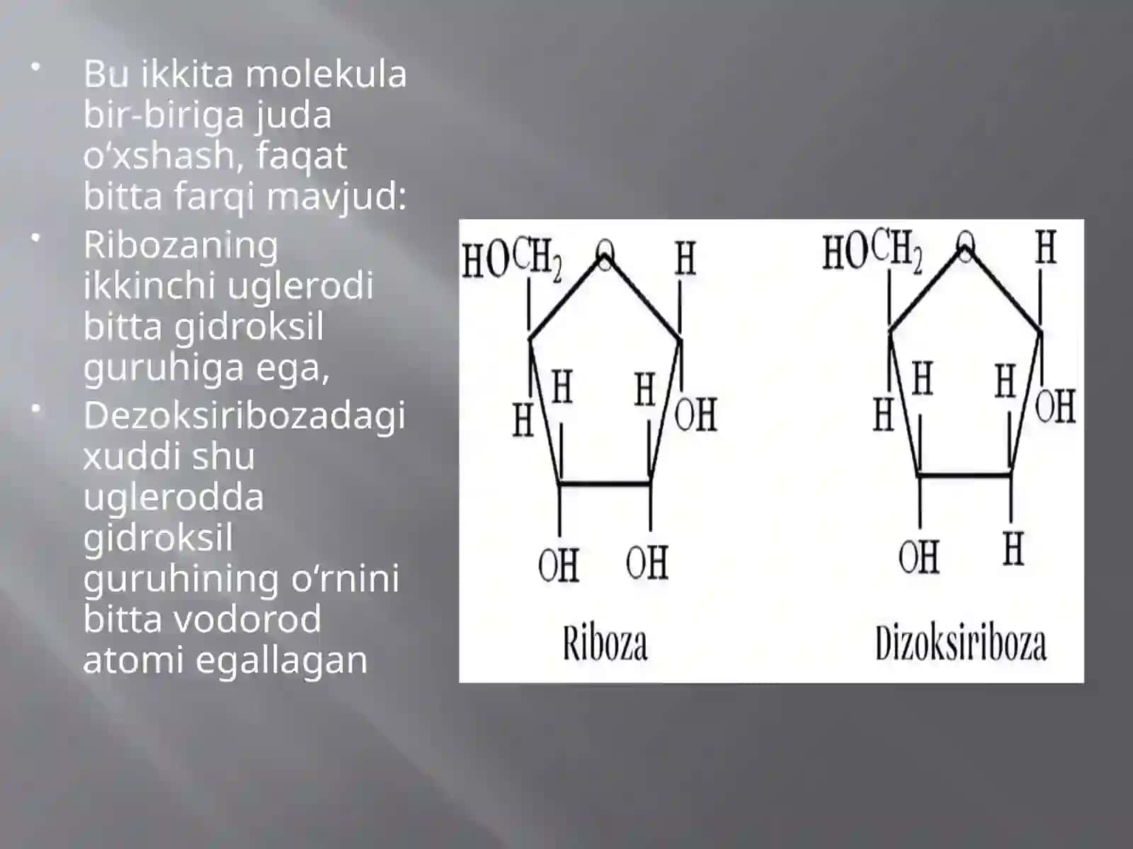 DNK strukturasi va replikatsiyasi 2