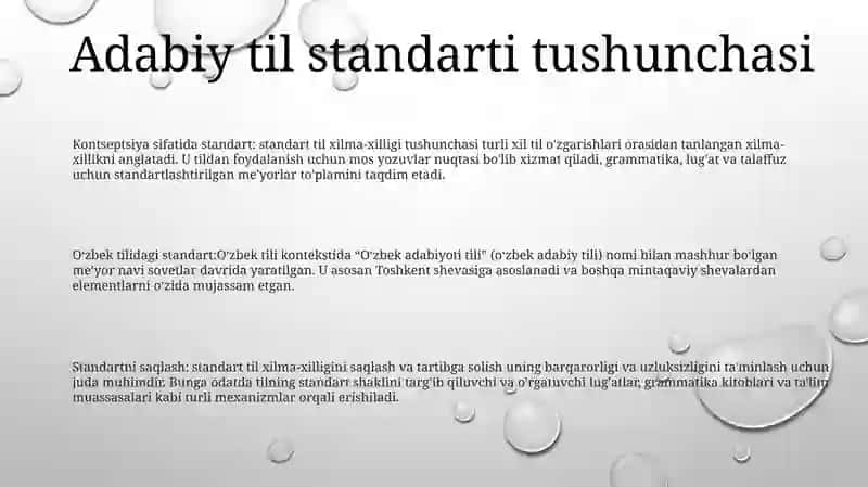 Oʻzbek Adabiy Tili MeʼYorlari 2