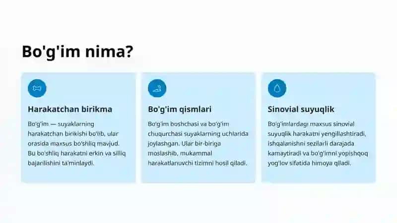 Bo'g'imlarning Umumiy Tuzilishi 2