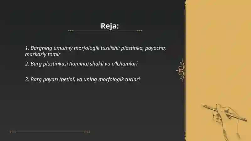 Bargning marfalagik tuzilishi 2