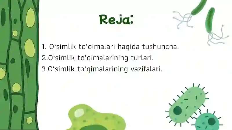 O`simlik to`qimalari. 2
