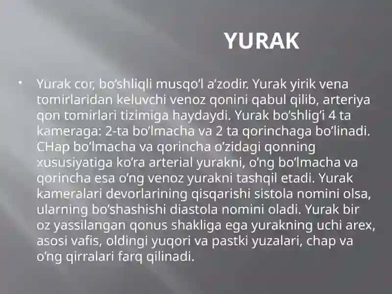 Yuraktuzilishi 2