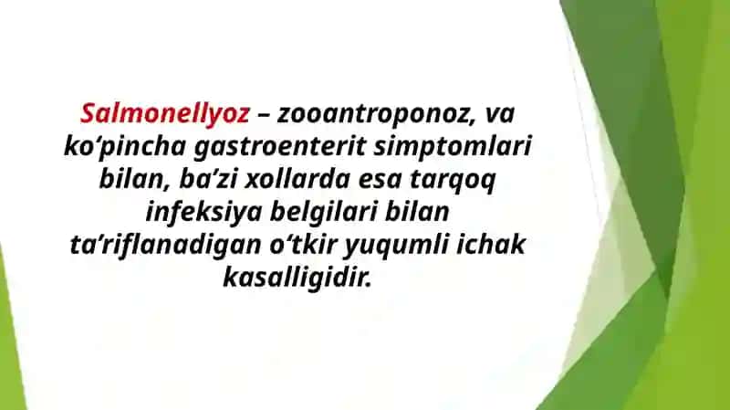 Salmonellyoz etiologiyasi, patogenezi va davolash 2
