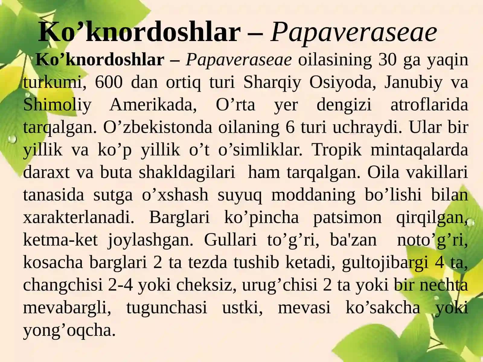 Ko’knornamolar-Papaverales 2
