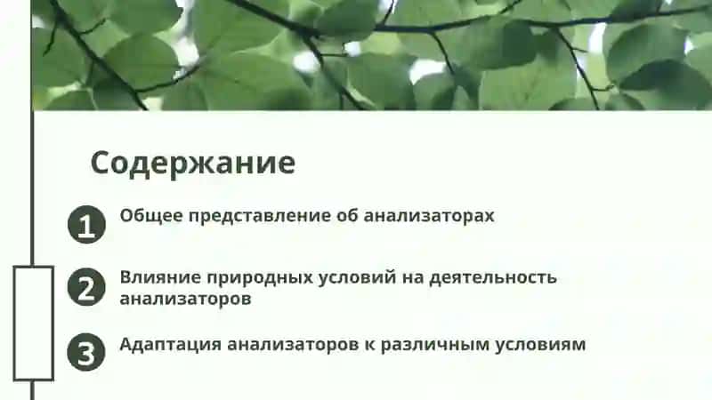 Общее представление об анализаторах 2