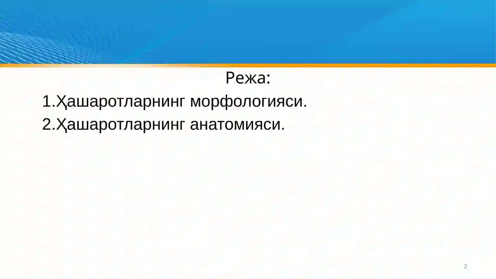 Ҳашаротларнинг морфологияси ва анатомияси 2