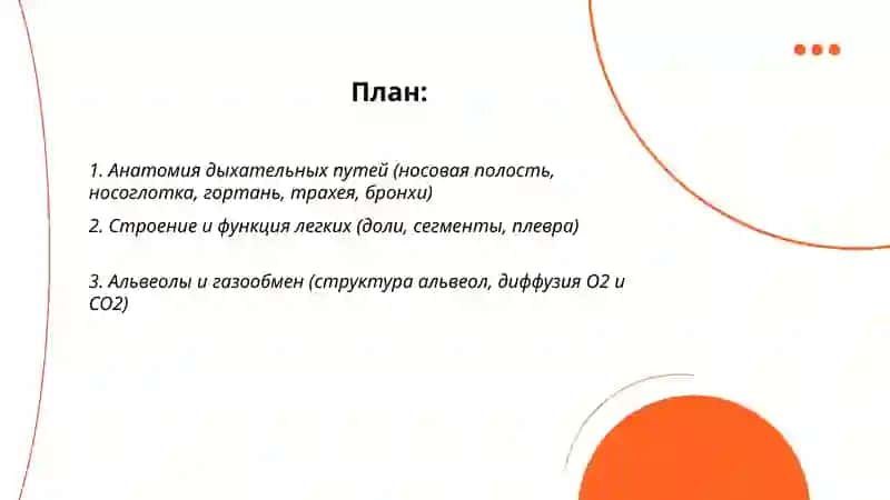 Дыхательная система человека 2