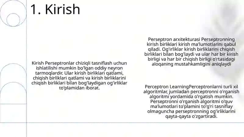 Perseptron Arxitekturasi 2