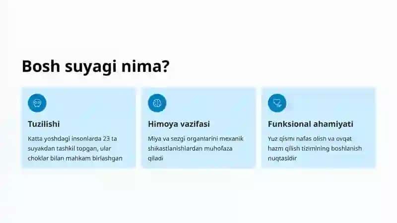Bosh suyagi: Yuz qismi anatomiyasi 2