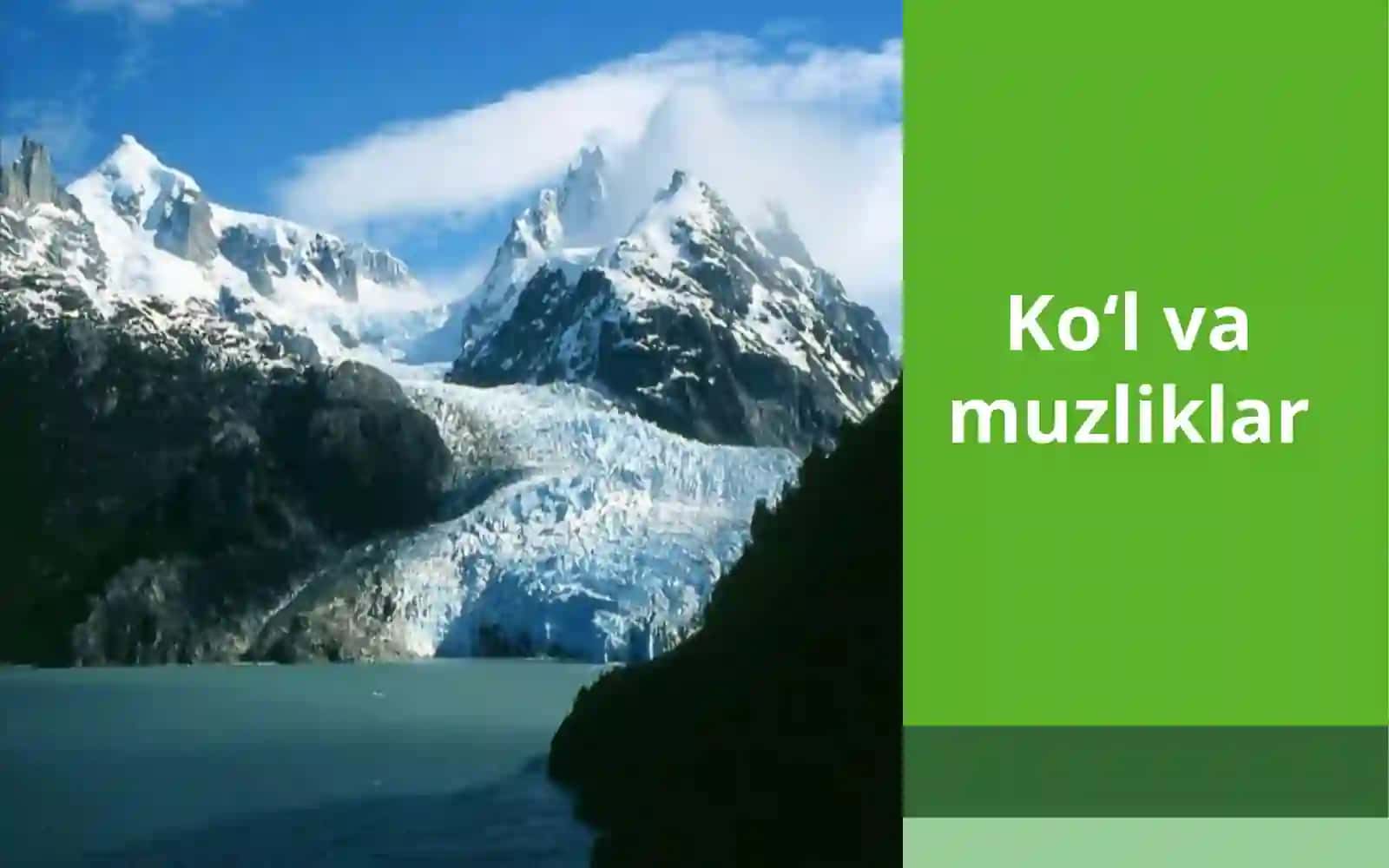Ko’lvamuzliklar 2
