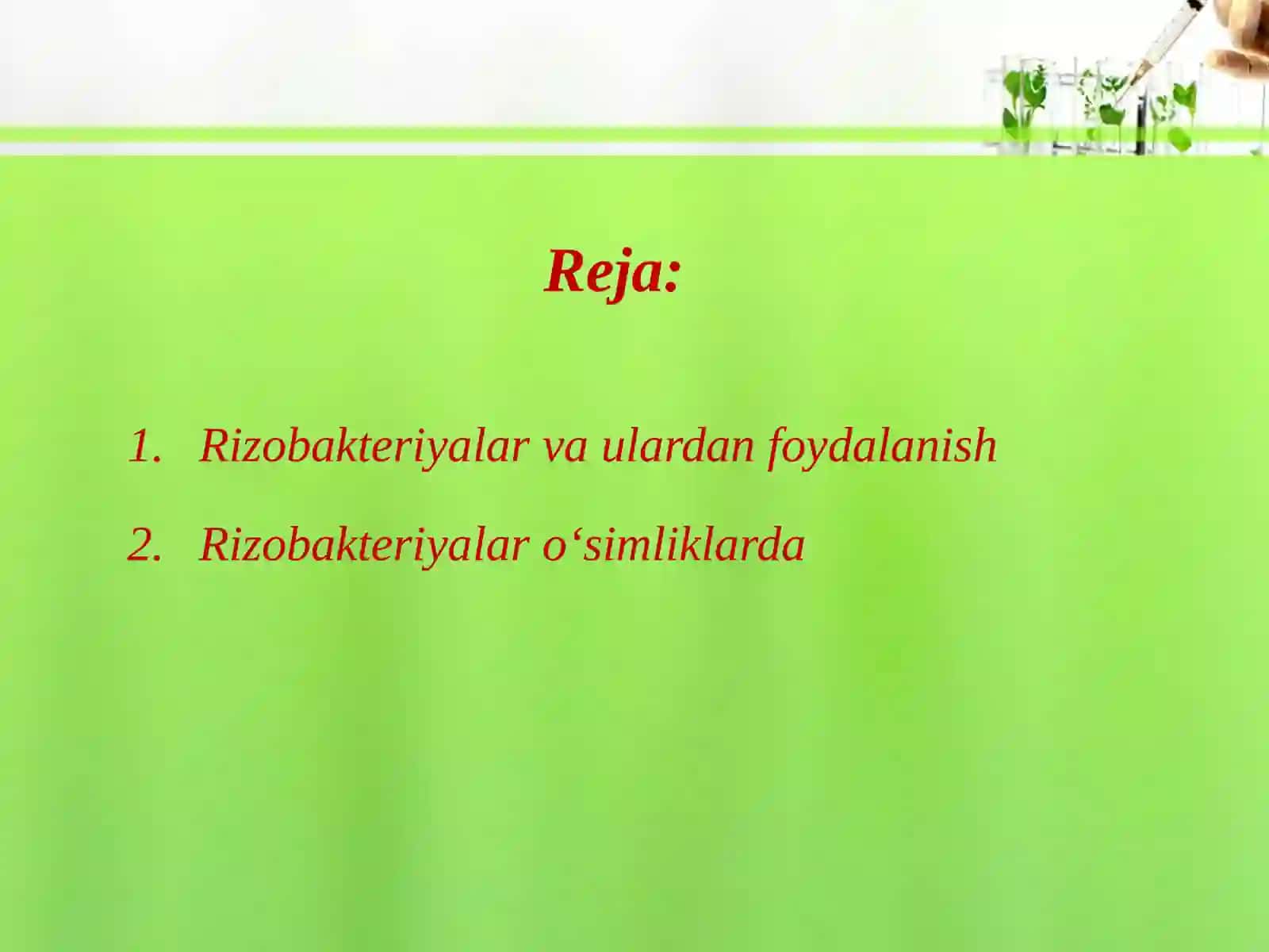 Rizobakteriyalar va ulardan foydalanish 2