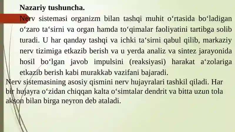 NERV SISTEMASINING TUZILISHI. NEYRON. ORQA MIYA. REFLEKTOR YOYI. ORQA MIYA NERVLARI 2