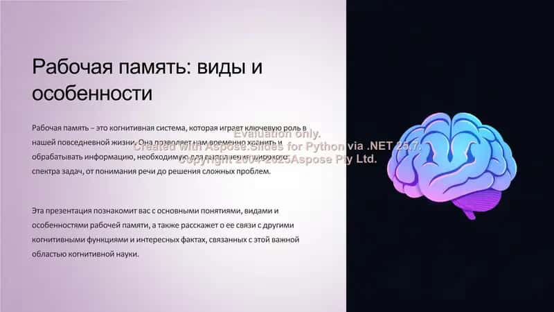Рабочая память.  Виды и особенности 2