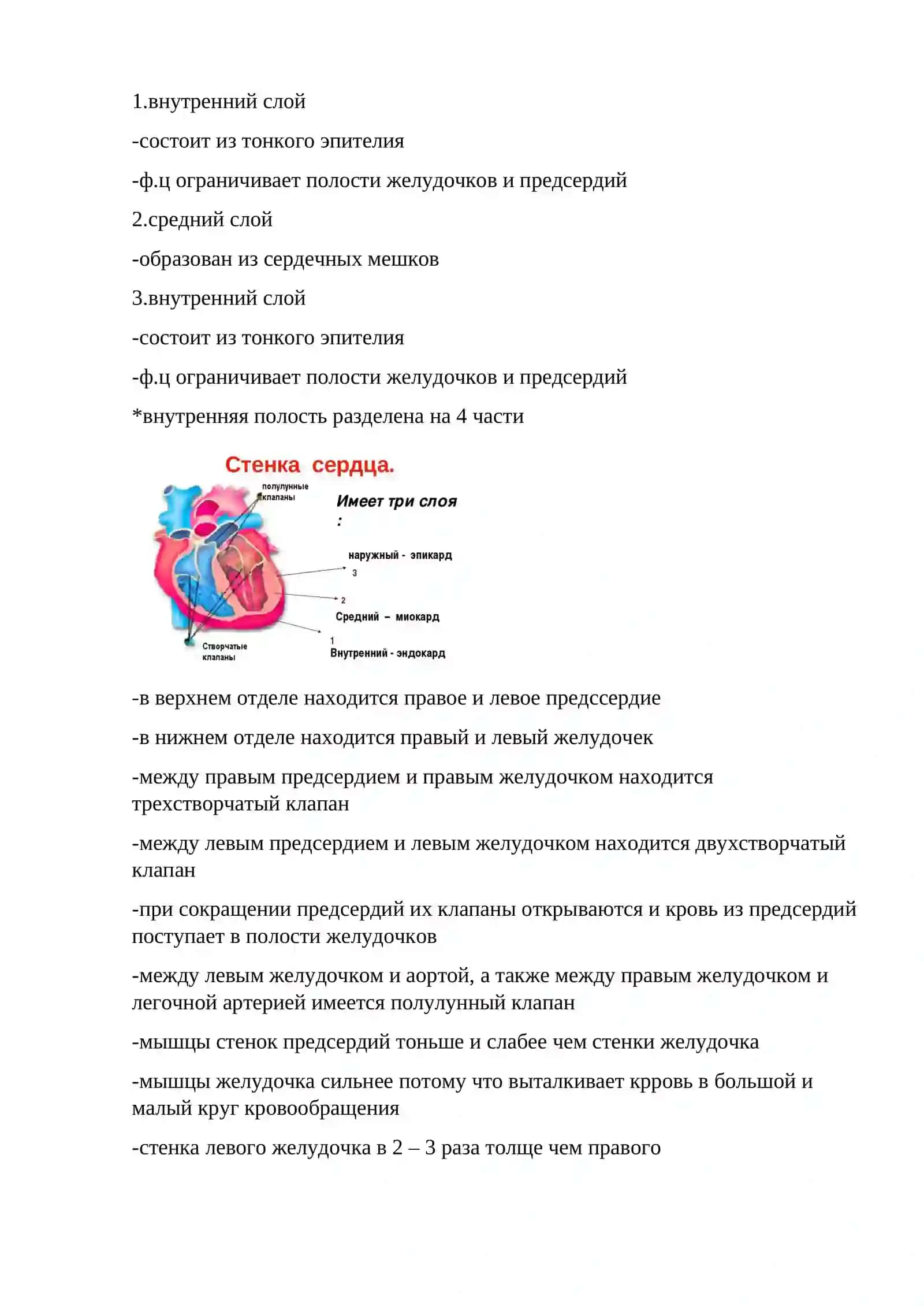 УРОК.5 КРОВЕНОСНАЯ СИСТЕМА 2