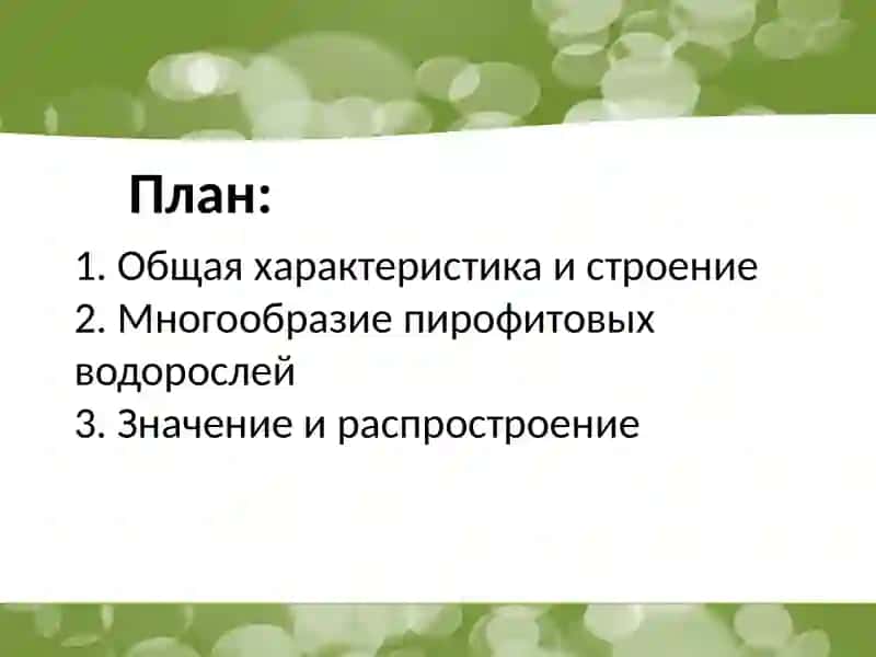 Пирофитовые водоросли 2