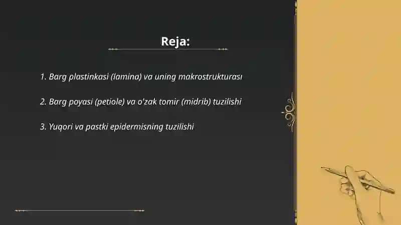 Bargning tuzilishi 2