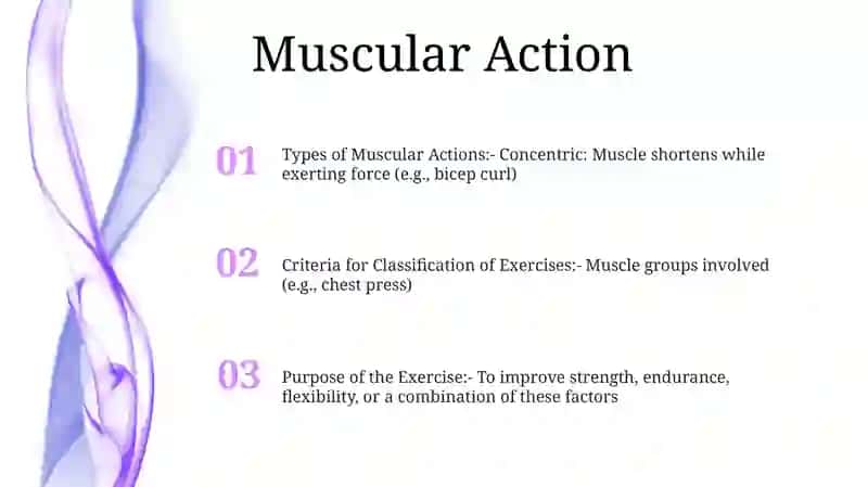 Criteria Of Classification Of Exercises 2