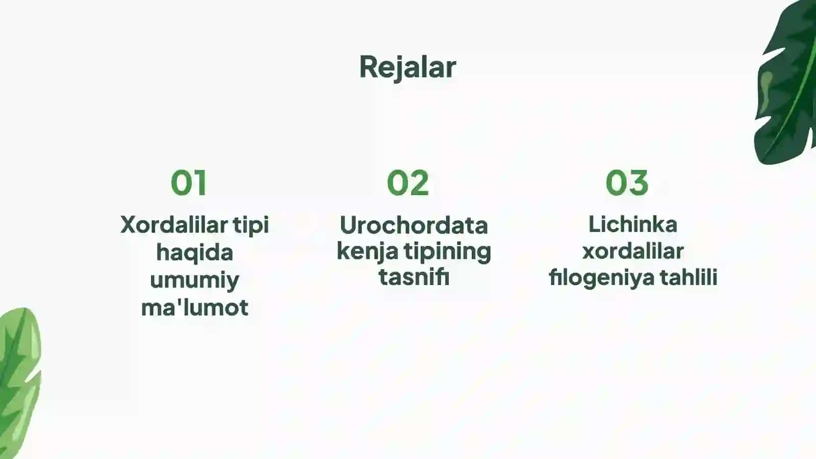 Xordalilar tipi - Chordata 2